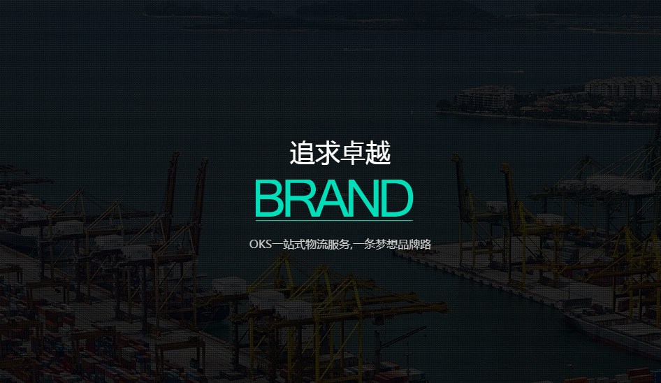 深圳一站式国际电商服务有限公司 深圳一站式国际电商服务有限公司